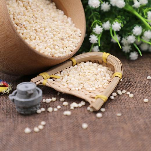 黄土情真空高粱米500g 商品图4