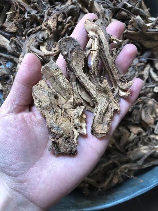 苎麻根 商品图2