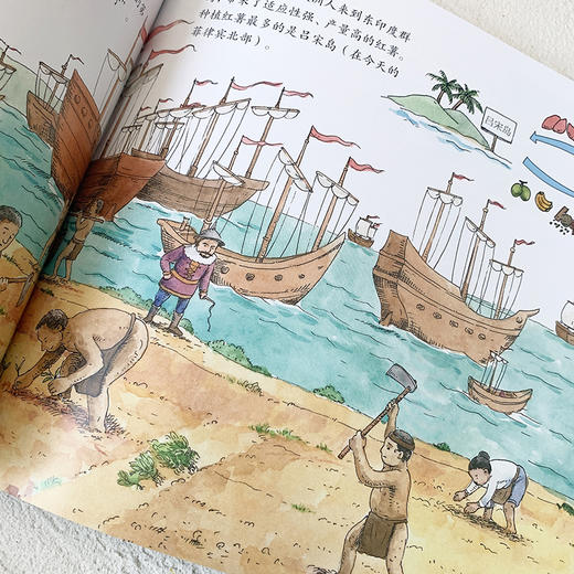 食物的秘密 5册套装 商品图2