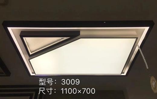 恒丰3009 商品图0