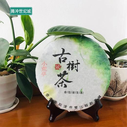 【TC】小荒亭古树茶 商品图0