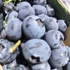 串枝蓝莓 商品缩略图6