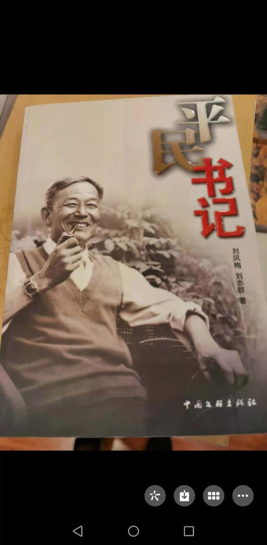 平民书记 商品图0