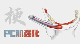 铁牛人PC锻炼专用音频