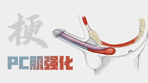 铁牛人PC锻炼专用音频 商品图0