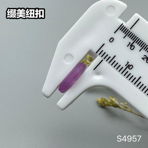 S4957(整包购买) 商品图7