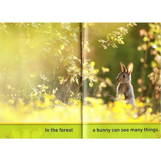 【宝莉爹书单·3-5岁】入门级29册 美国国家地理分级读物 National Geographic Pre-Readers 儿童科普百科全彩版 初级起步阶段 商品图4