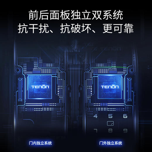 亚太天能别墅豪宅指纹锁F8双开锁欧式古典智能门锁 商品图3