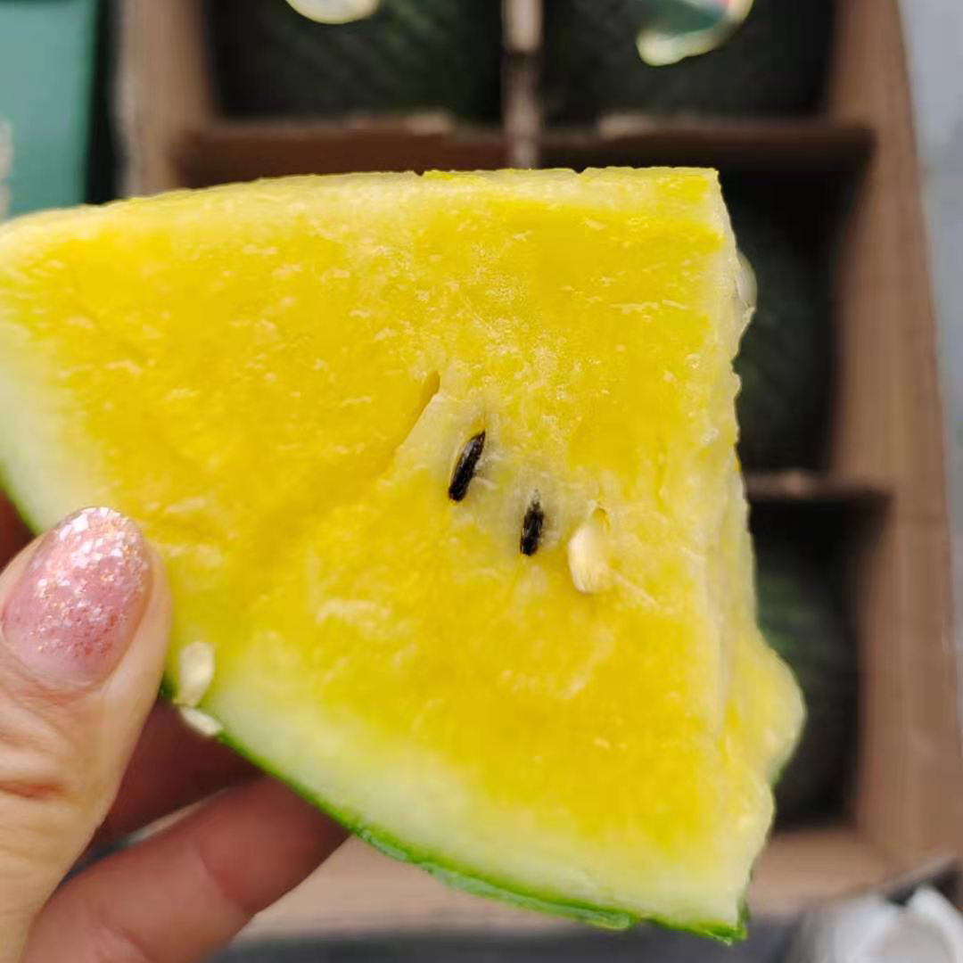 【限量爆款牛奶·黄金冰淇淋小西瓜】～（黄心麒麟瓜限量版）几乎无籽，拥抱口感无限可能正宗东台货，王者口感，打破认知禁锢。停不下来的小西瓜