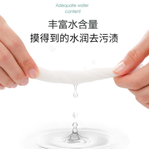 宠物湿巾猫咪狗狗去泪痕 消毒杀菌除臭擦屁股湿毛巾 100抽 商品图4