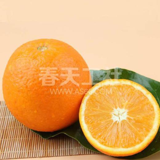 攀西脐橙【牛牛好货】 商品图1