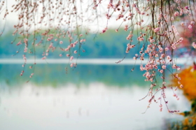谷雨 | 养生谨记三宜两忌，健脾祛湿，通全身不畅之气！