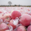 【红富士苹果5斤】| 甜脆多汁，果肉鲜嫩，农家种植，吃的放心 商品缩略图4