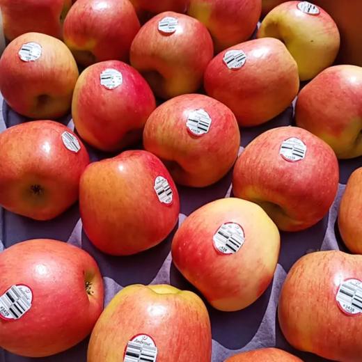 智利神仙果被誉为南半球醉好吃苹果口感脆甜果肉紧实酸甜多汁果香浓郁