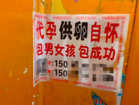  地下代孕“流水线”：“手术室”里的孕妈、卵妹和被退单的弃婴 