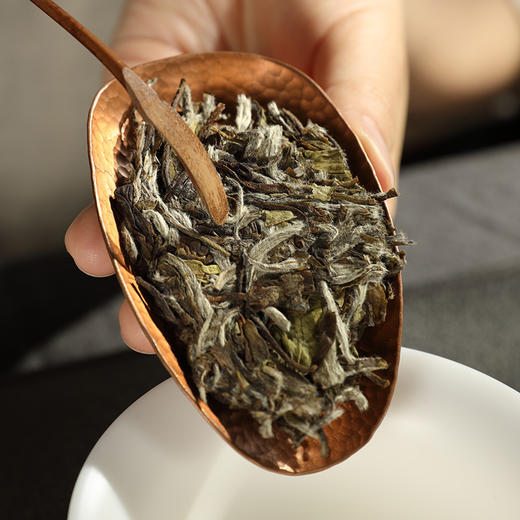 自家系列丨2020年 立仁 白牡丹 350g饼 商品图3