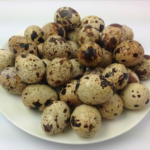 鹌鹑蛋（熟） 商品图0