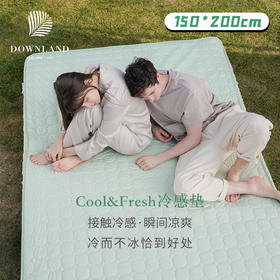 Downland 冷感床垫软垫150*200cm 冰丝凉席薄款可水洗垫被单人褥子家用垫褥[福利品]