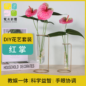 花点新思DIY美的再发现手工制作儿童拼装花卉
