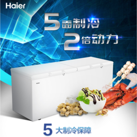 海尔（Haier）冷柜 BC/BD-719HEZ