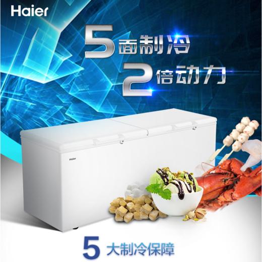 海尔（Haier）冷柜 BC/BD-719HEZ 商品图0