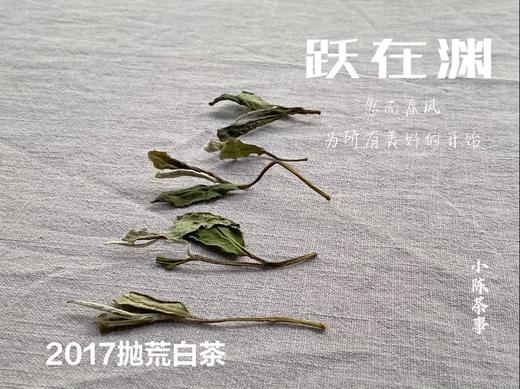 8年陈抛荒白茶，2017抛荒春白茶来了，它的野，不如荒野，却远超荒野 商品图4