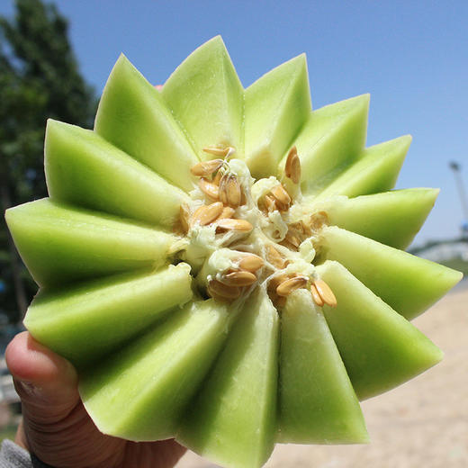 【植物雪糕】山东玉菇甜瓜 翡翠甜瓜 甜蜜爆汁 软绵清新 纵享丝滑冰淇淋口感 商品图2