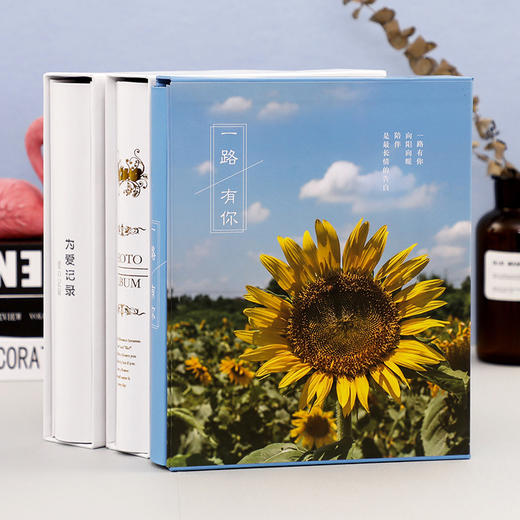 德源7寸200张插袋相册 商品图1