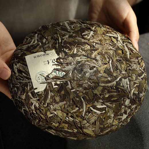 自家系列丨2020年 立仁 白牡丹 350g饼 商品图2