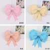 小号蝴蝶结（2个/包、尺寸18*20CM） 商品缩略图4