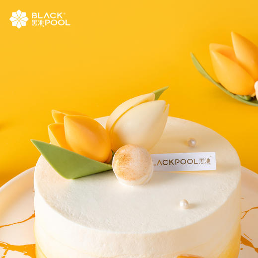 ¥258元  母亲节蛋糕/星座蛋糕/软忌廉蛋糕/熔岩蛋糕  8选1 商品图1