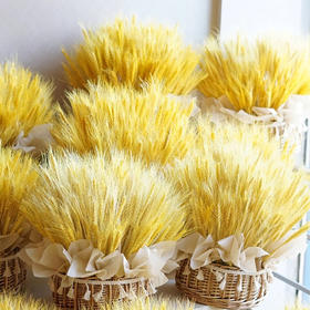 「如愿」-大麦手提花篮