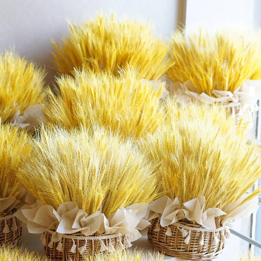 「如愿」-大麦手提花篮 商品图0