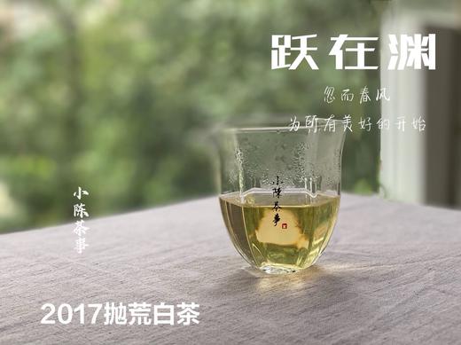 8年陈抛荒白茶，2017抛荒春白茶来了，它的野，不如荒野，却远超荒野 商品图7