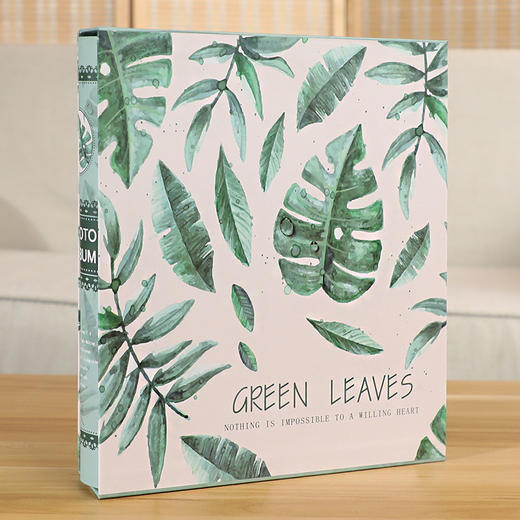 德源插页式相册6寸 商品图3