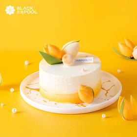 ¥258元  母亲节蛋糕/星座蛋糕/软忌廉蛋糕/熔岩蛋糕  8选1