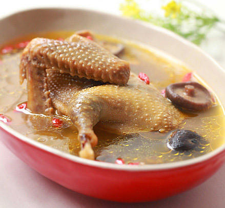 鸽子（江浙沪顺丰包邮） 商品图2