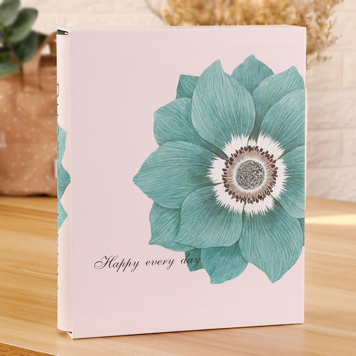 德源插页式相册6寸 商品图4