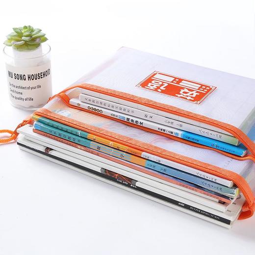 毅力达纱网透明双拉科目袋A4-17 商品图1