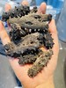 深海野生海参（9年老参龄）不加料纯货 高泡发率一斤60-80头左右 商品缩略图3
