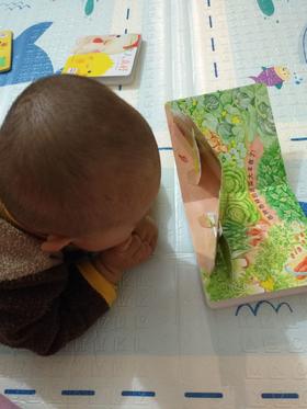 《0-3岁食育玩具书》：不仅增长知识，还让我们明白要热爱大自然，生活更美好