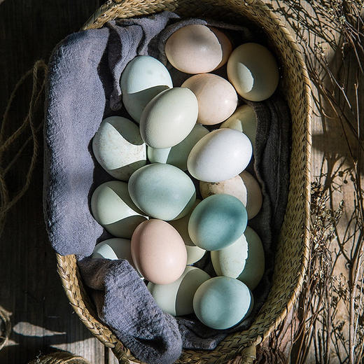 初生蛋 商品图3
