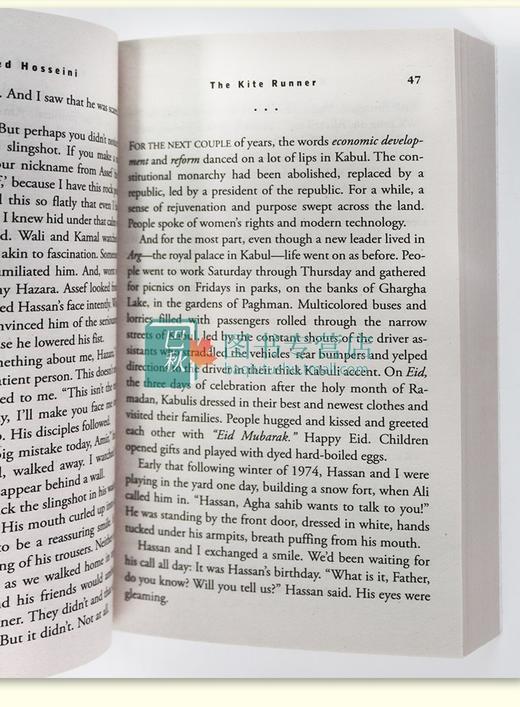 英文原版 经典畅销青少年小说11册 怦然心动 Flipped 追风筝的人 相约星期二 无声告白 奇迹男孩 英文版进口英语书籍 商品图2