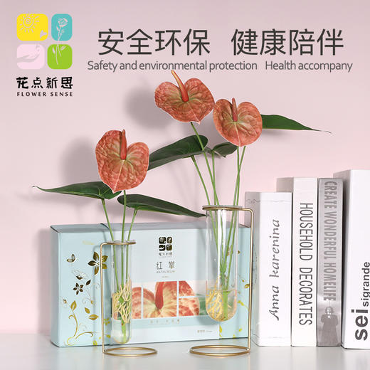 花点新思DIY美的再发现手工制作儿童拼装花卉 商品图3