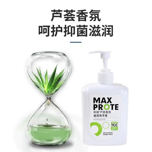 烁白抑菌*芦荟香氛滋润洗手液 商品图2