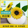 花点新思DIY美的初发现手工制作儿童拼装花卉 商品缩略图0
