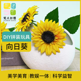 花点新思DIY美的初发现手工制作儿童拼装花卉