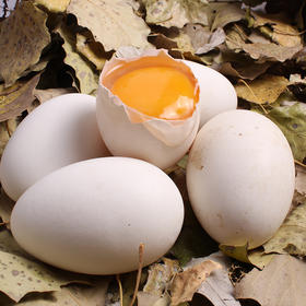 鹅蛋