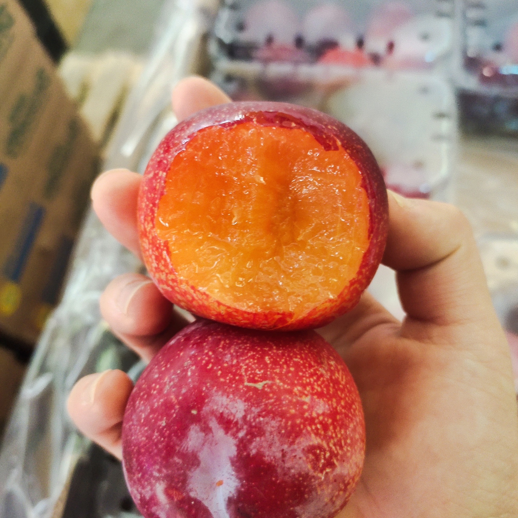 智利珠宝李恐龙蛋 一盒5斤