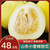 【灌蜜20+】山东新鲜蜜瓜小蜜蜂香瓜蜜罐时令小甜瓜脆瓜孕妇水果 商品缩略图0